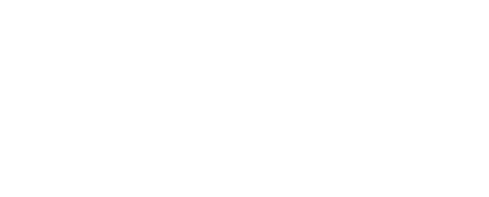 BridgeUSA